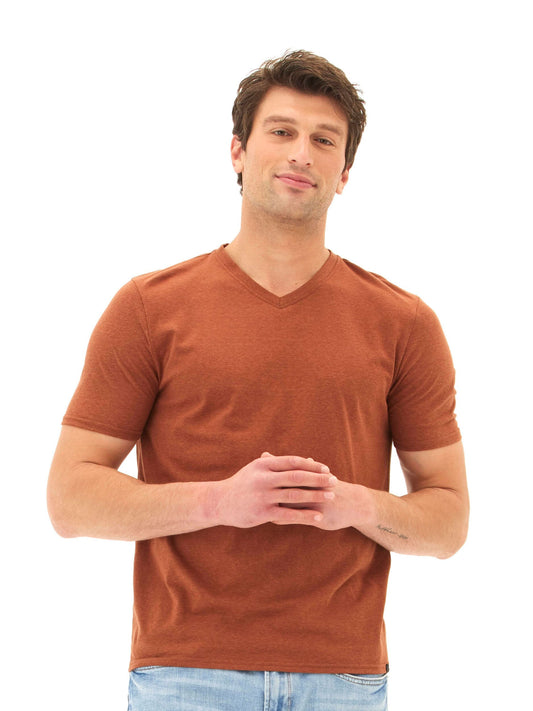 Men's Core Triblend Jersey V-Neck Tee