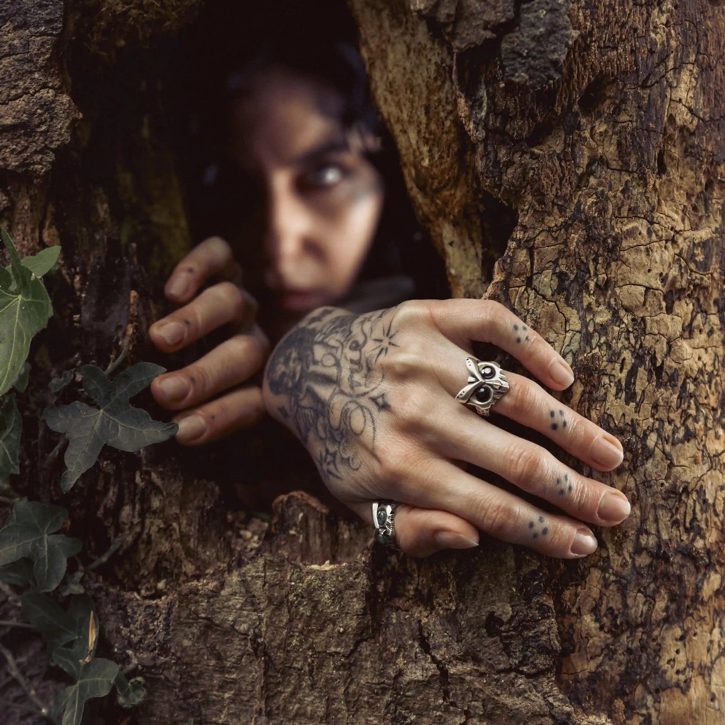 OWL SENTINEL RINGS